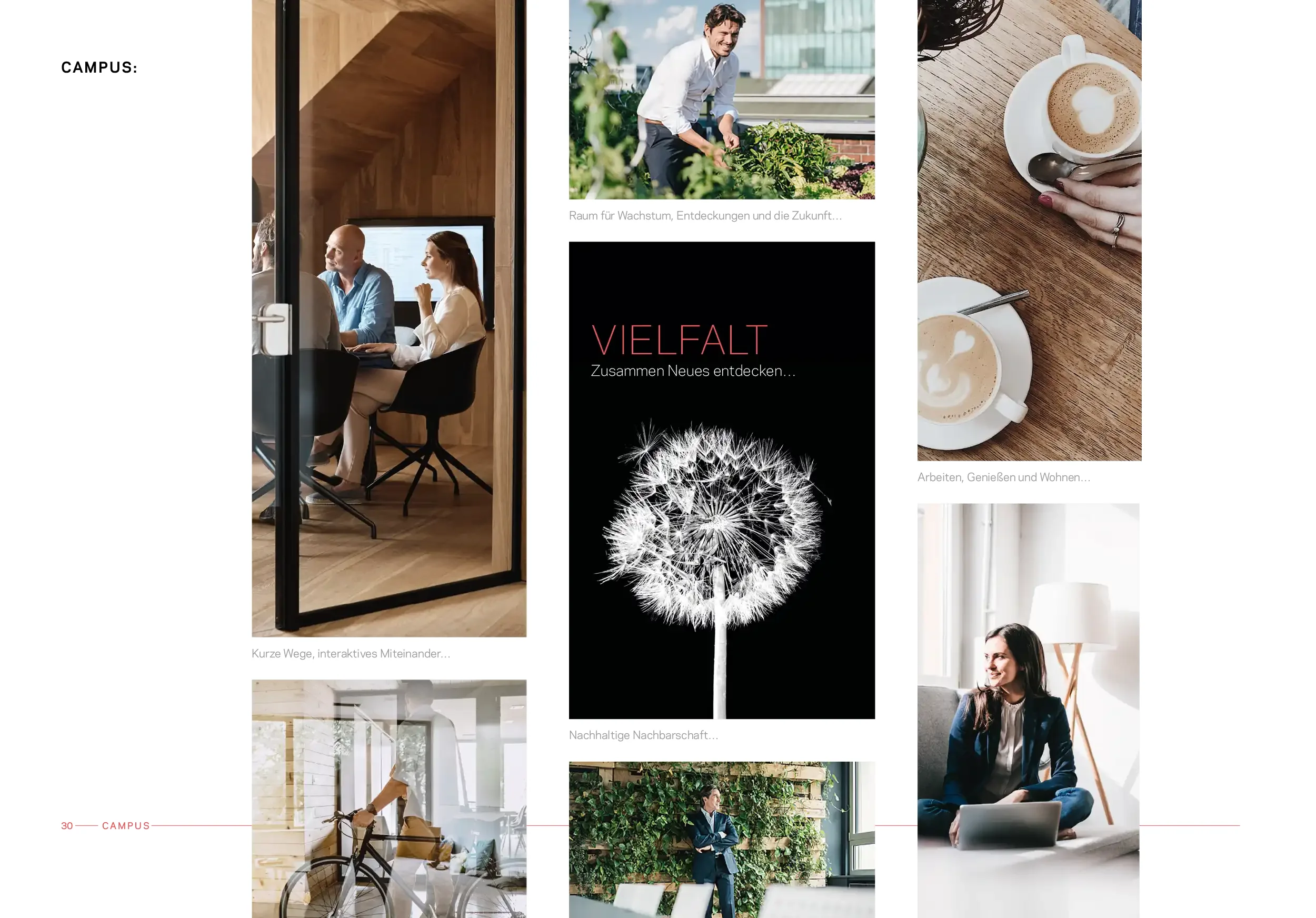 Broschürenseite Campus mit Bildcollage aus Arbeiten, Dachgarten und Nachbarschaft
